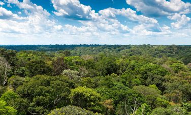 Como Usar o Método de Valoração do Dano Ambiental no Âmbito do MPE/MT