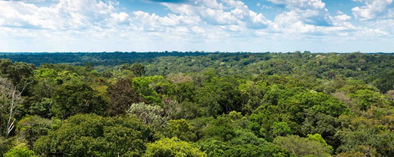 Como Usar o Método de Valoração do Dano Ambiental no Âmbito do MPE/MT