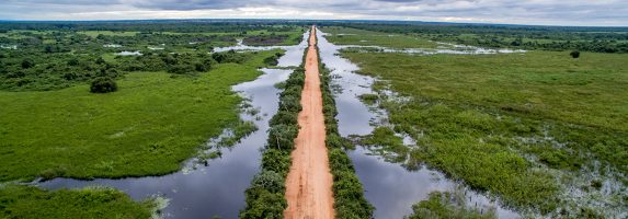 Proteção jurídica e conservação das Áreas Úmidas de Mato Grosso: aprimoramento das decisões judiciais pelo uso de técnicas de valoração do dano ambiental