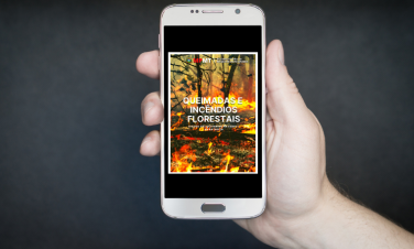 Queimadas e Incêndio Florestal